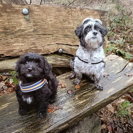 Appartamento Genieten In Weelde *